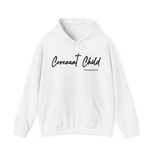 God Promised - I Believe It Adult Hoodie